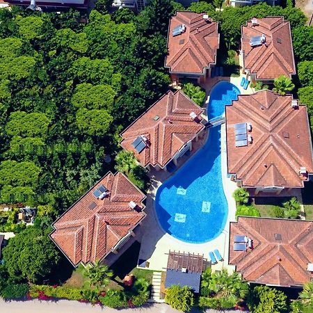 The Wind Sycamore Holiday Villas In באלאק מראה חיצוני תמונה
