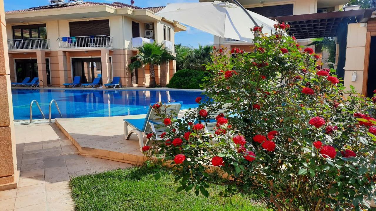 The Wind Sycamore Holiday Villas In באלאק מראה חיצוני תמונה