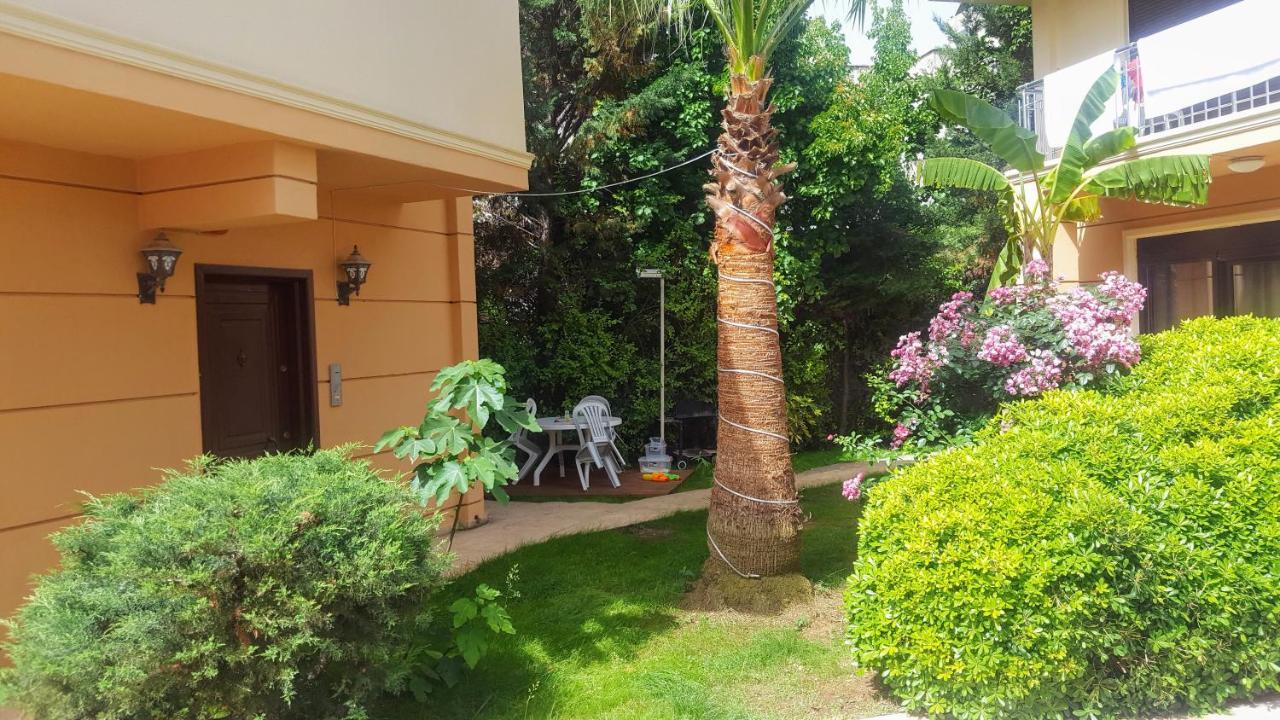 The Wind Sycamore Holiday Villas In באלאק מראה חיצוני תמונה
